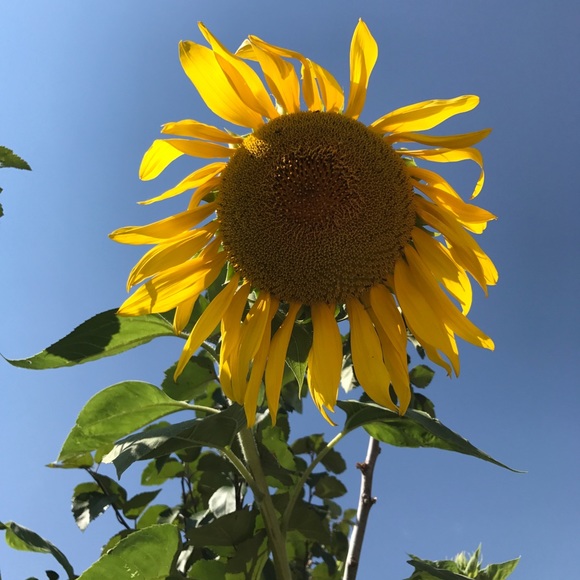 Meet your Posher, Lisa - Picture 6 of 6